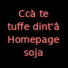 Homepage 'e Roberto Quaglia